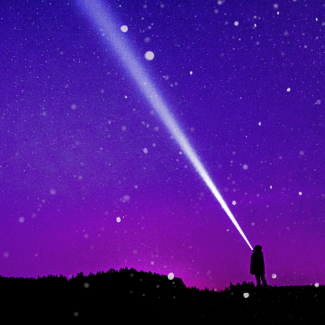 News from Miss Violet